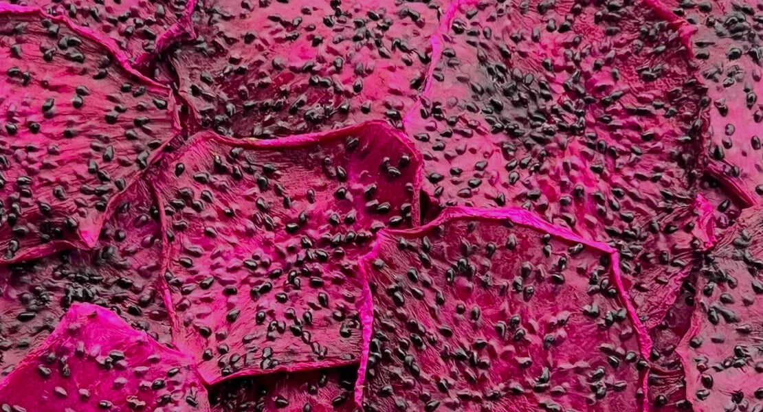 Dried dragon fruit from Thailand