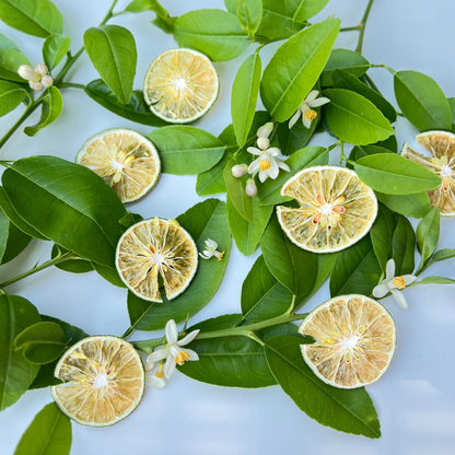 Dried Lime bartender slices 2.1oz (60g)